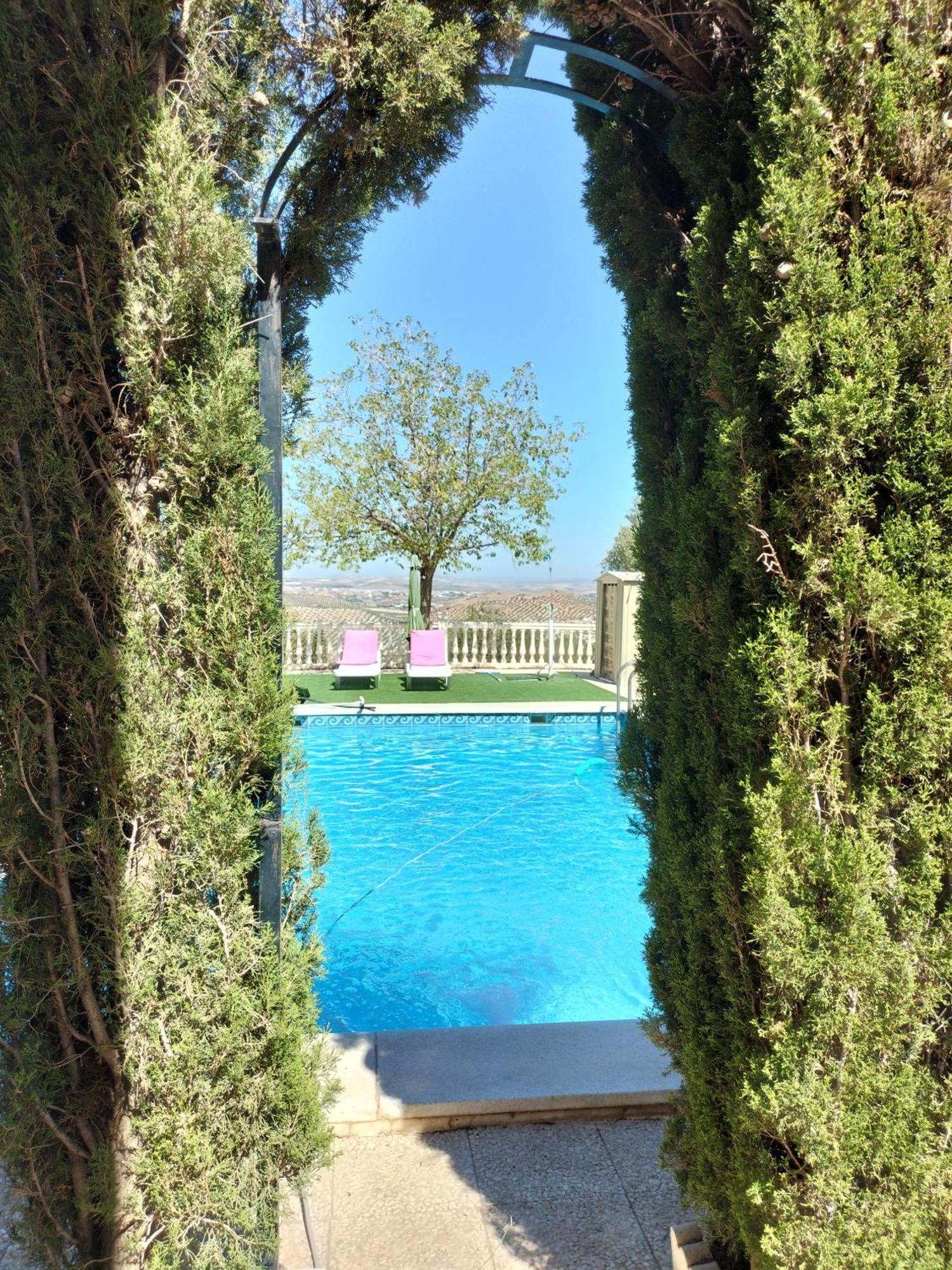 Vivienda Rural Villa Ruben ハエン エクステリア 写真